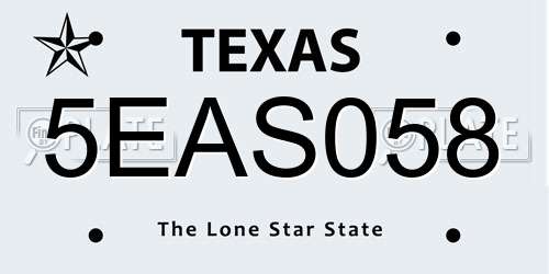 5EAS058 Texas License Plate