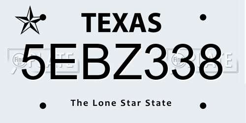 5EBZ338 Texas License Plate