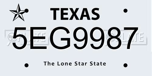 5EG9987 Texas License Plate