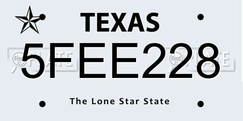 5FEE228 Texas License Plate