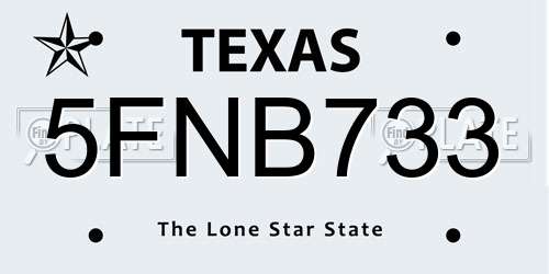 5FNB733 Texas License Plate
