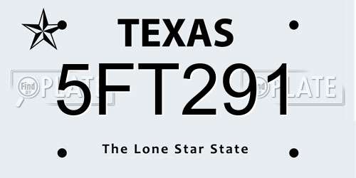 5FT291 Texas License Plate