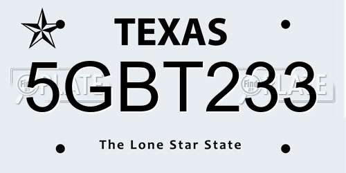 5GBT233 Texas License Plate