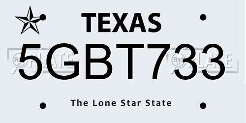 5GBT733 Texas License Plate