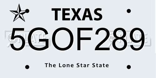 5GOF289 Texas License Plate