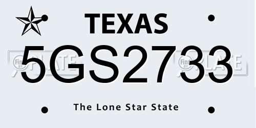 5GS2733 Texas License Plate