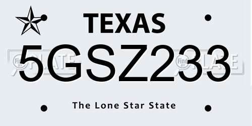 5GSZ233 Texas License Plate