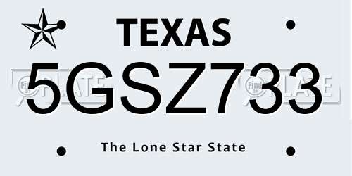 5GSZ733 Texas License Plate