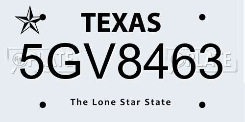5GV8463 Texas License Plate