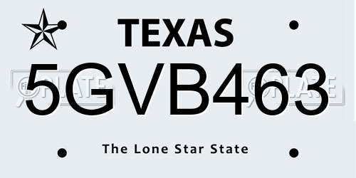 5GVB463 Texas License Plate