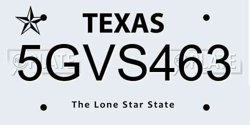 5GVS463 Texas License Plate