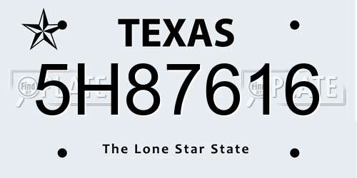 5H87616 Texas License Plate