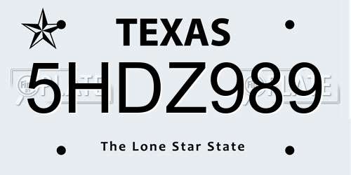 5HDZ989 Texas License Plate