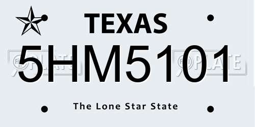 5HM5101 Texas License Plate