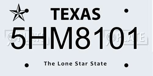 5HM8101 Texas License Plate