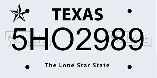 5HO2989 Texas License Plate