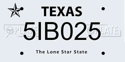 5IB025 Texas License Plate