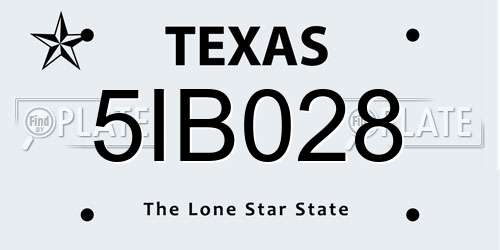 5IB028 Texas License Plate