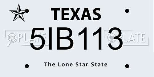 5IB113 Texas License Plate