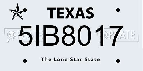 5IB8017 Texas License Plate