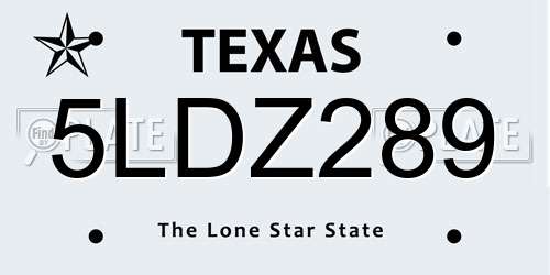 5LDZ289 Texas License Plate