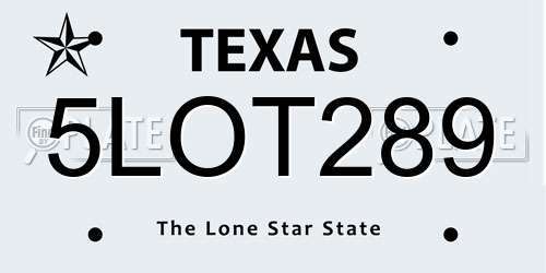 5LOT289 Texas License Plate