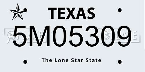 5M05309 Texas License Plate
