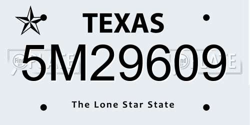 5M29609 Texas License Plate
