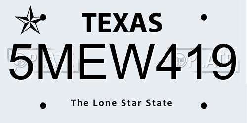 5MEW419 Texas License Plate