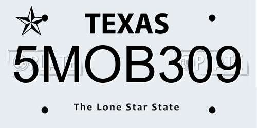 5MOB309 Texas License Plate