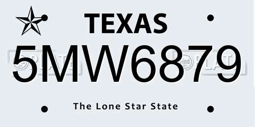 5MW6879 Texas License Plate