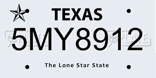 5MY8912 Texas License Plate