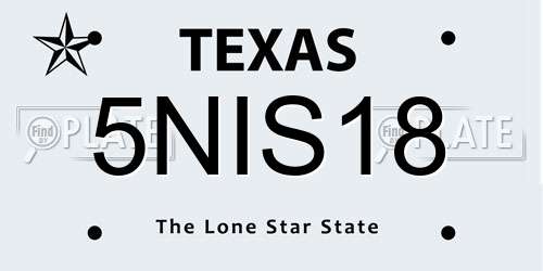 5NIS18 Texas License Plate