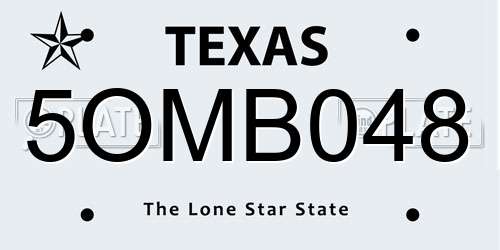 5OMB048 Texas License Plate