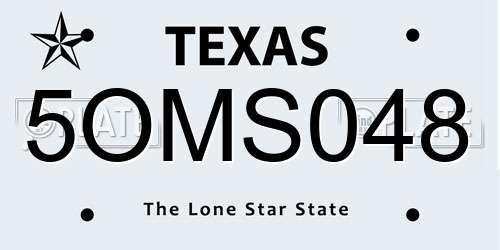 5OMS048 Texas License Plate