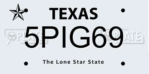 5PIG69 Texas License Plate