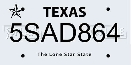 5SAD864 Texas License Plate
