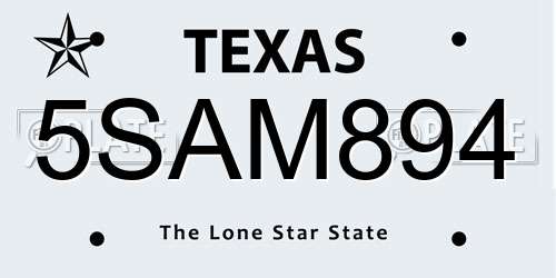 5SAM894 Texas License Plate