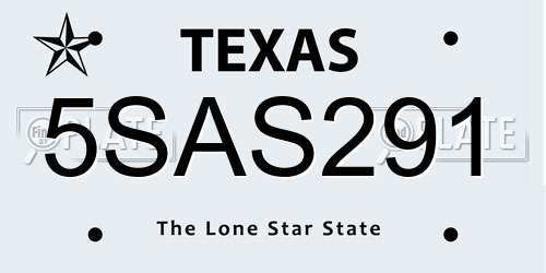 5SAS291 Texas License Plate