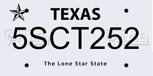 5SCT252 Texas License Plate