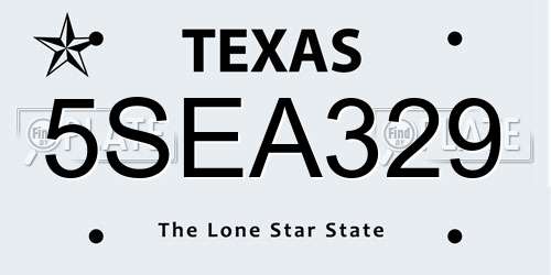 5SEA329 Texas License Plate