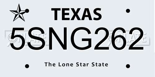 5SNG262 Texas License Plate