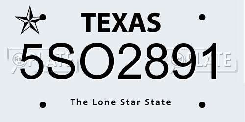 5SO2891 Texas License Plate