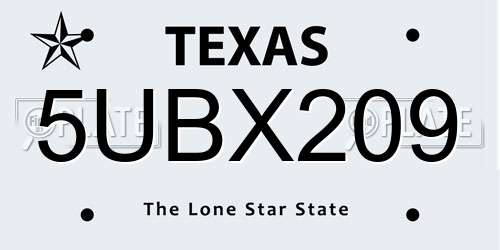 5UBX209 Texas License Plate