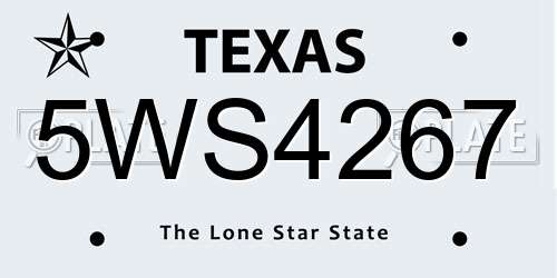 5WS4267 Texas License Plate