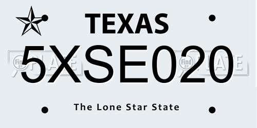 5XSE020 Texas License Plate