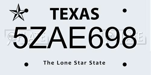 5ZAE698 Texas License Plate