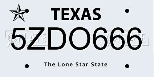 5ZDO666 Texas License Plate
