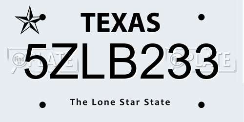 5ZLB233 Texas License Plate