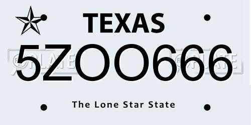 5ZOO666 Texas License Plate